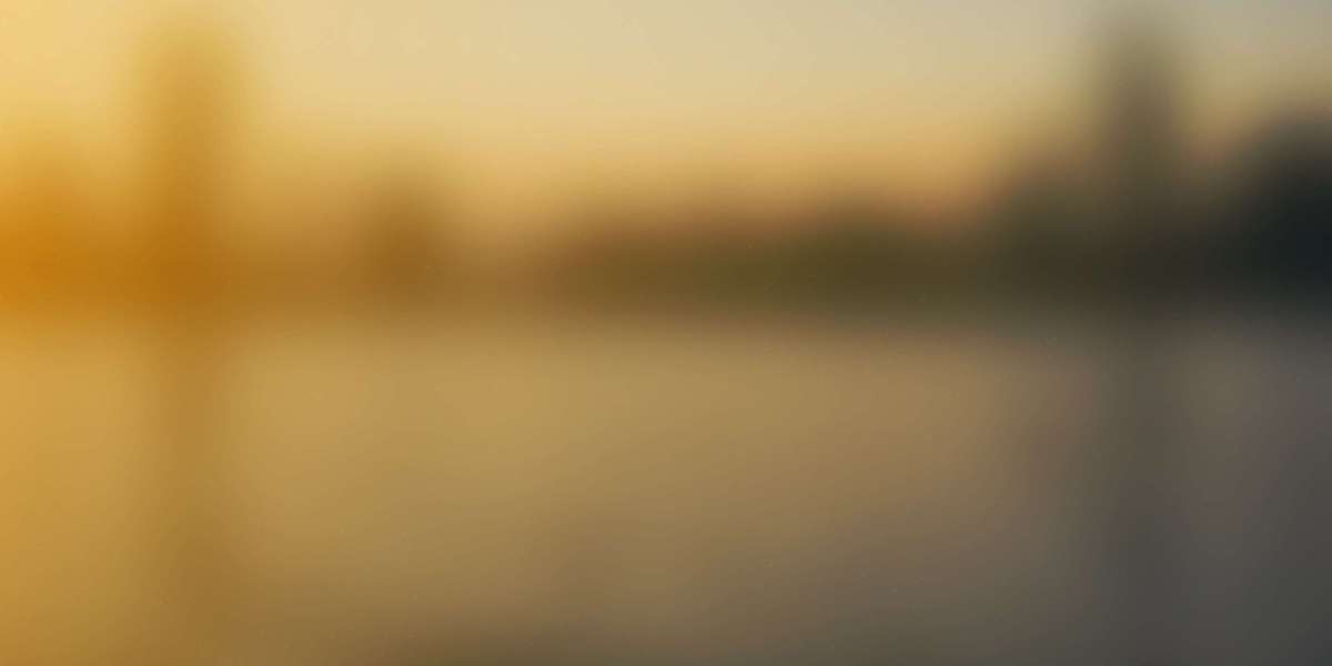 The Economics and Insights of Private Jet Quotes: Understanding the Price Of Luxurious Journey