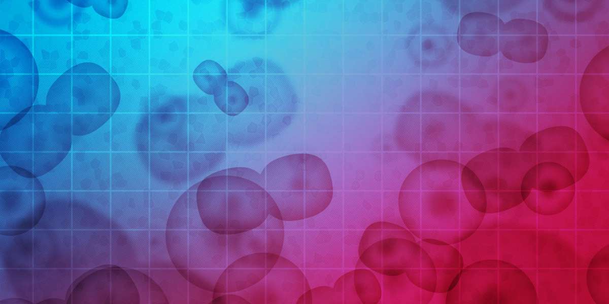 Understanding Fractional Jet Ownership: A Comprehensive Overview