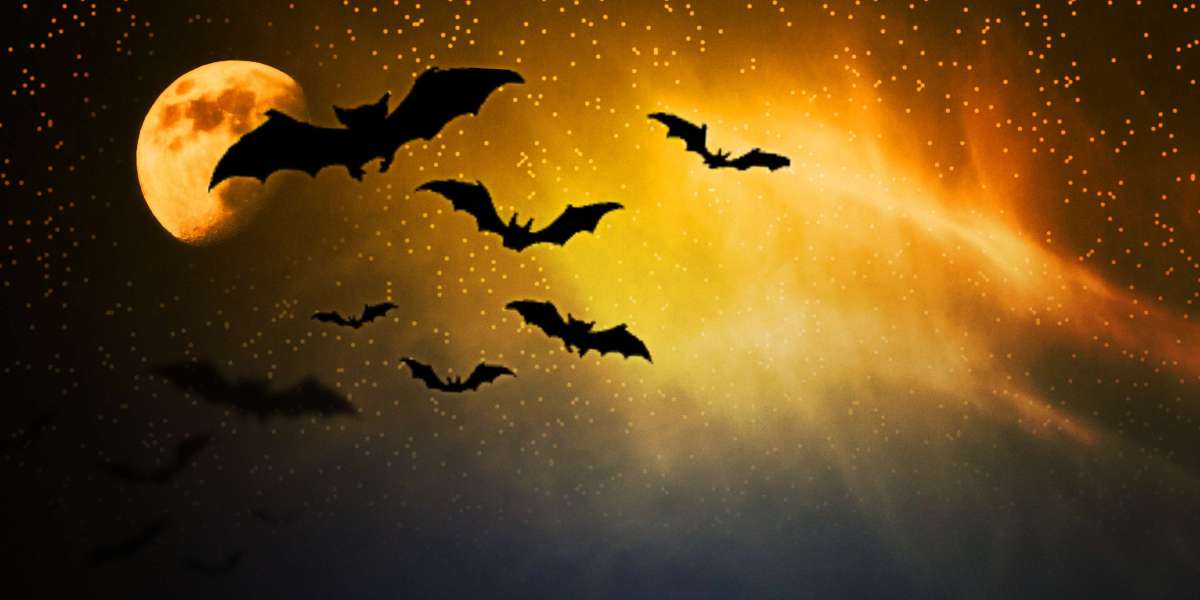 Understanding Personal Loans For Bad Credit: A Complete Examine