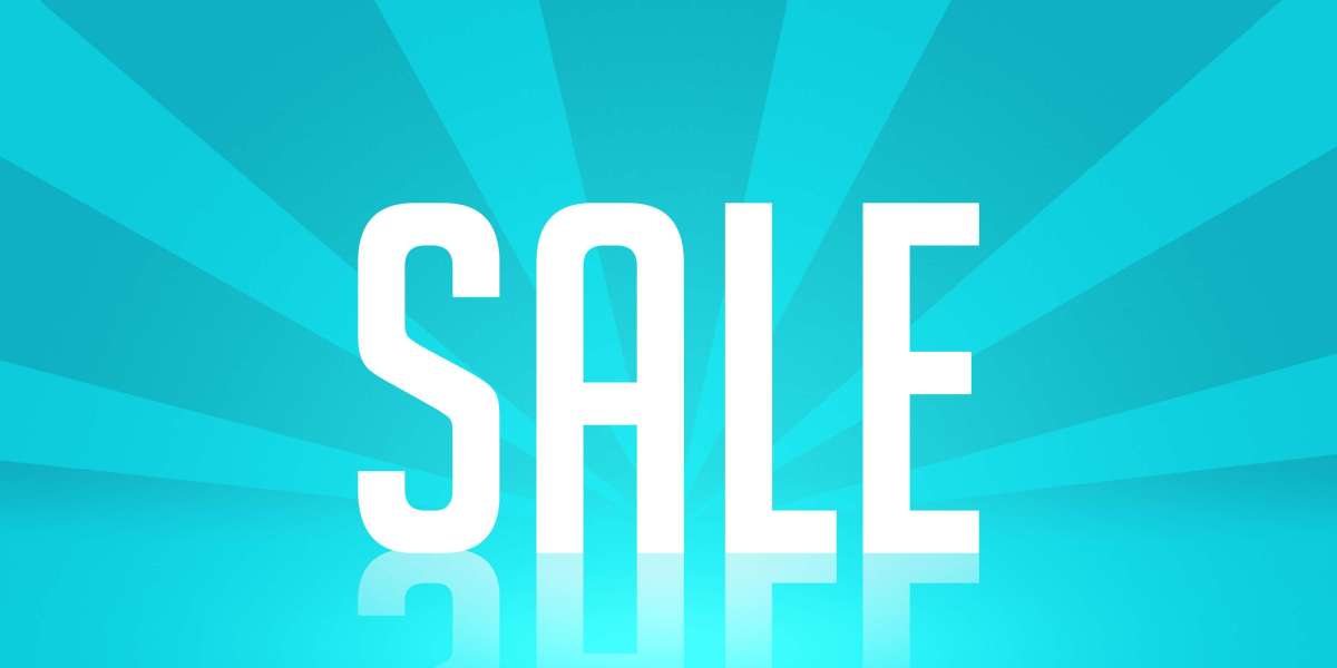 The Rise and Influence of Private Airline Companies in the Worldwide Aviation Business