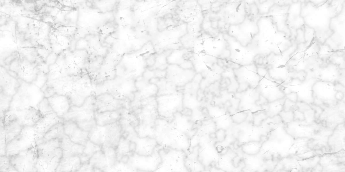 Exploring Private Plane Charter Services Near You