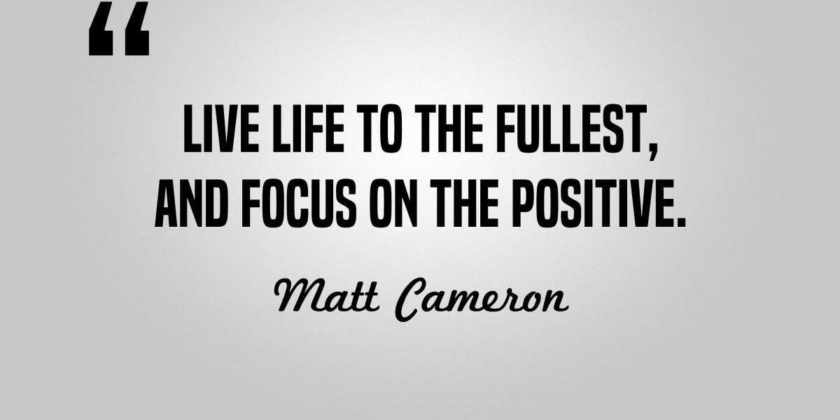 Best Gold IRA Rollover Companies: A Comprehensive Guide