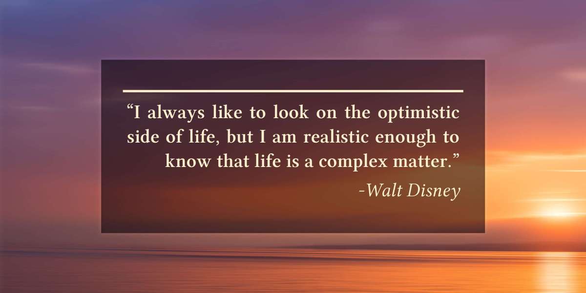 Exploring the Landscape of Charter Airline Companies: An Observational Study