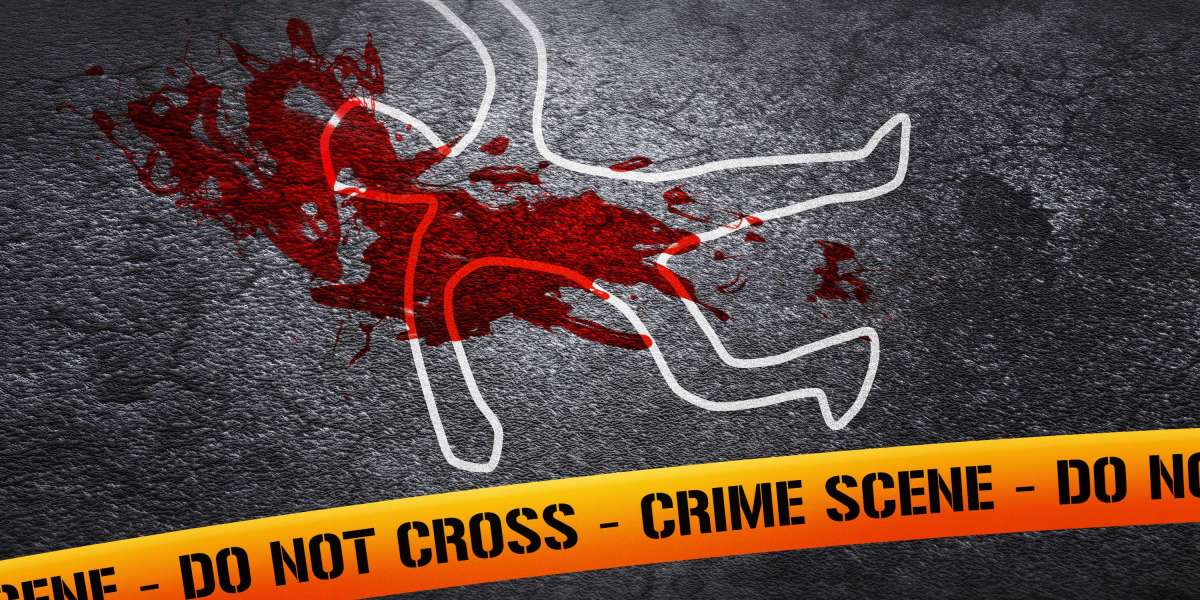 The Rise of Modafinil: An Observational Research on Online Usage And Perceptions