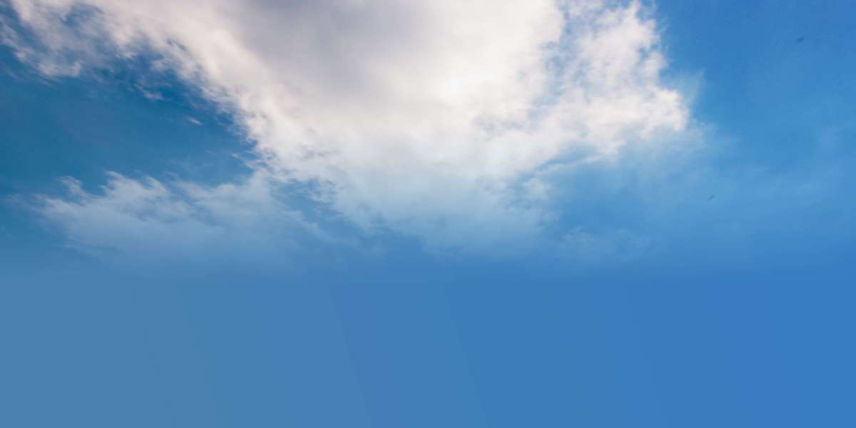 Guaranteed Personal Loans for Bad Credit: A Case Research On Direct Lenders