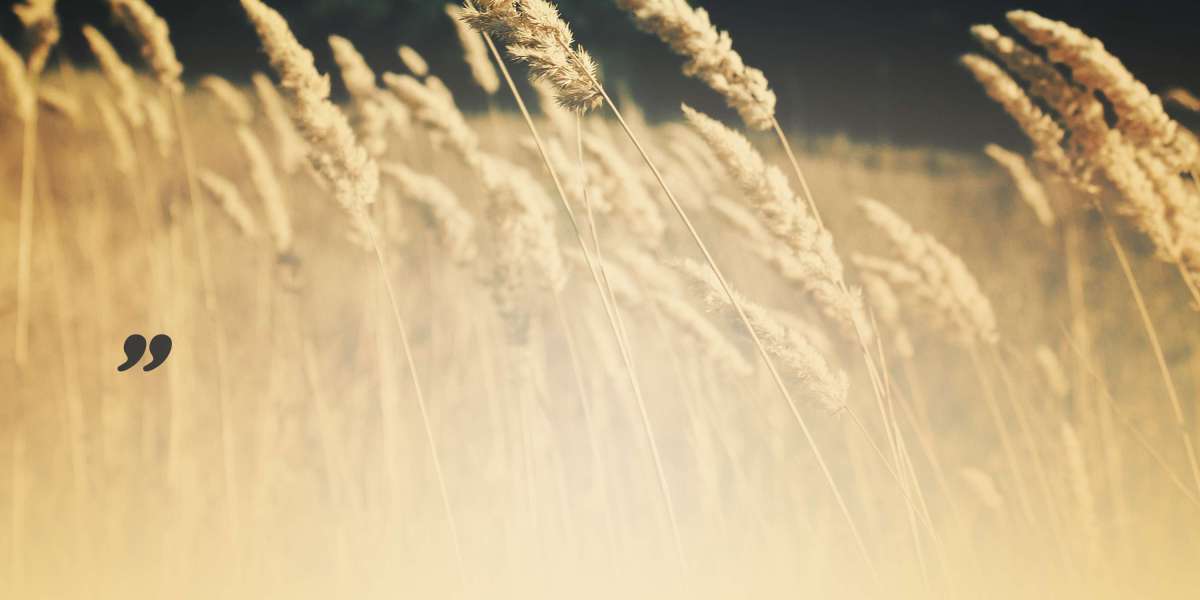 The Economics of Private Jet Service: Understanding Prices And Worth