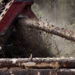 nycestimating Profile Picture