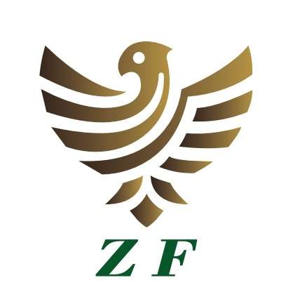 Zhong Fa EV Profile Picture