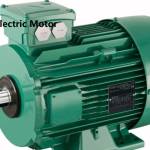 guanfen guanfen Profile Picture