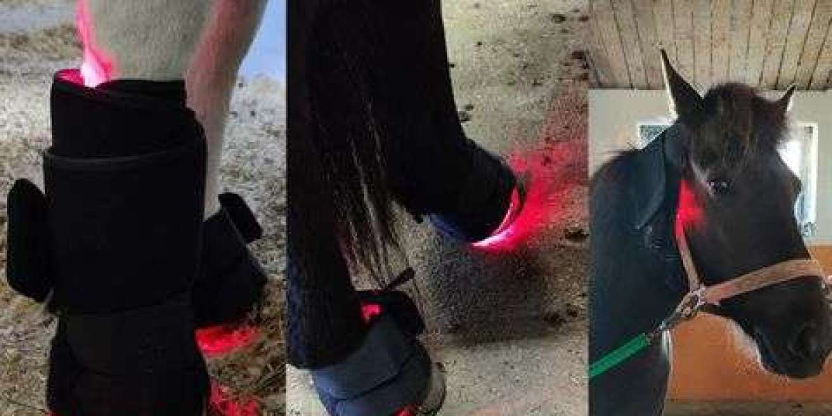 Enhancing Equine Recovery and Performance with Advanced Horse Infrared Light Therapy Pad Technology