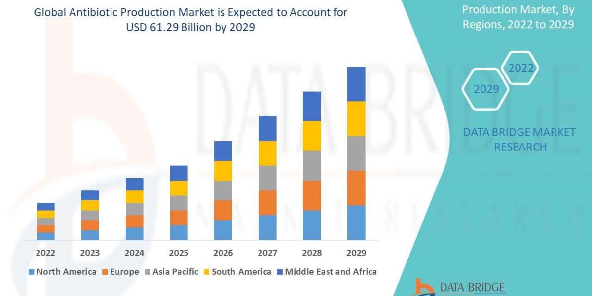 Antibiotic Production Market Size, Growth, and Forecast to 2032