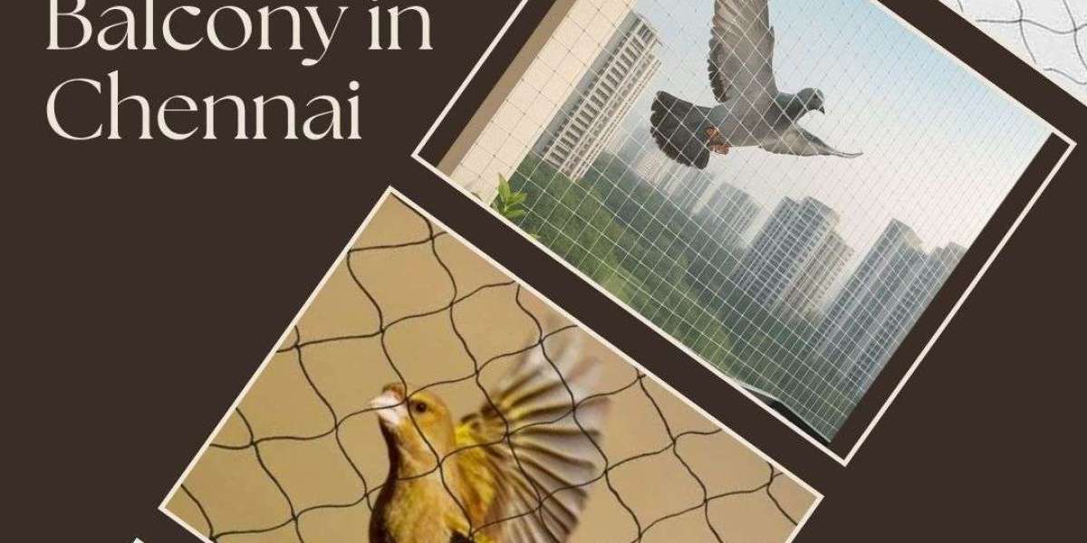 Article Picture