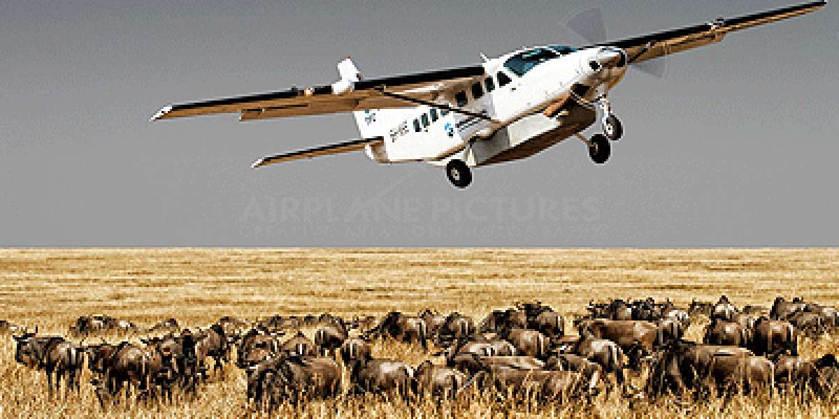 Zanzibar Airport Guide: Easy Arrival and Quick Transfers to Paradise