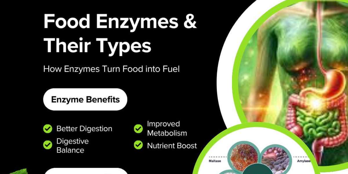 What Are Food Enzymes, and Their Types?