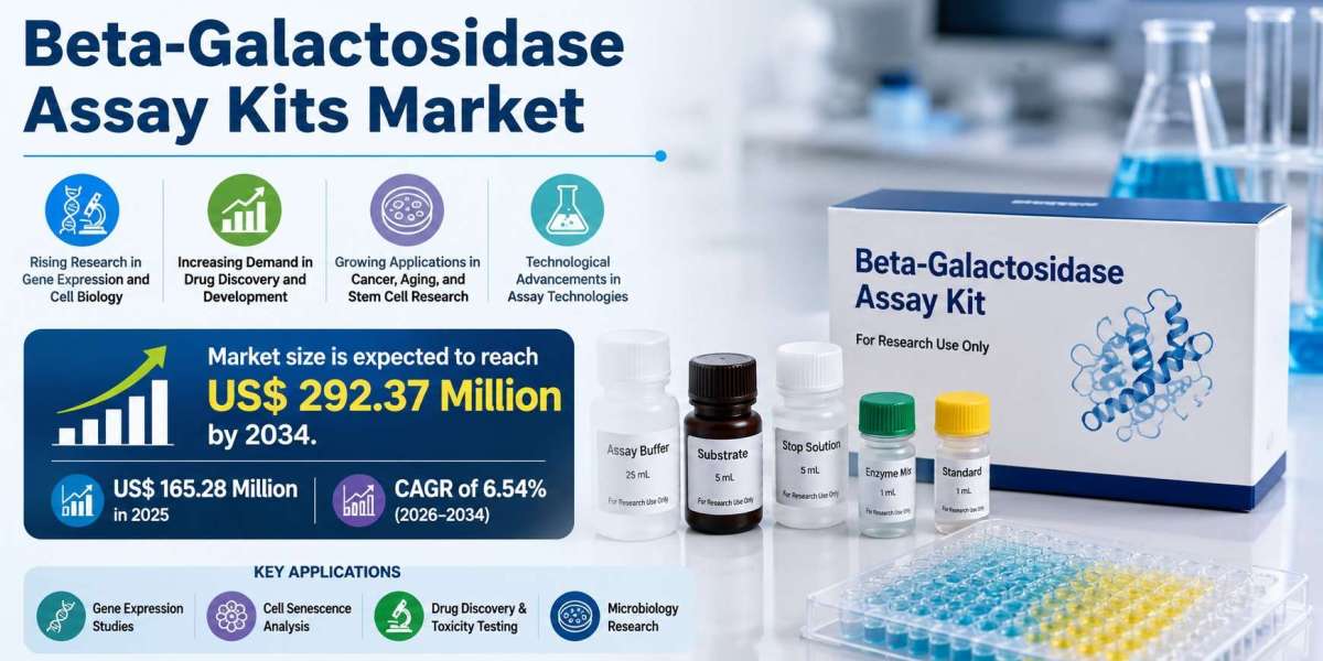 Global Beta-Galactosidase Assay Kits Market Insights on Emerging Biomedical Research Trends