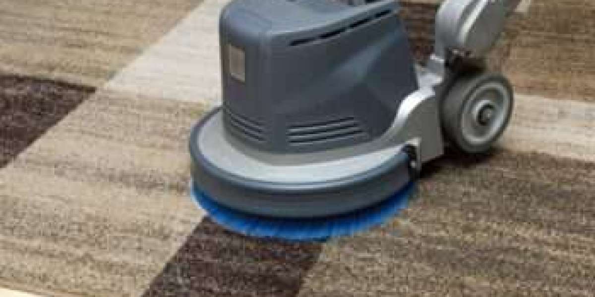 Healthy Living Conditions Grow Stronger Through Carpet Cleaning Services