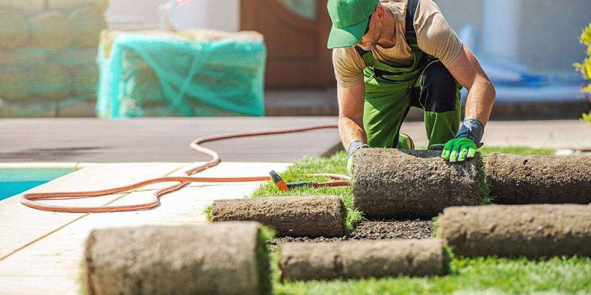 Complete Guide to Landscape Renovation in Little Rock for Modern Outdoor Spaces