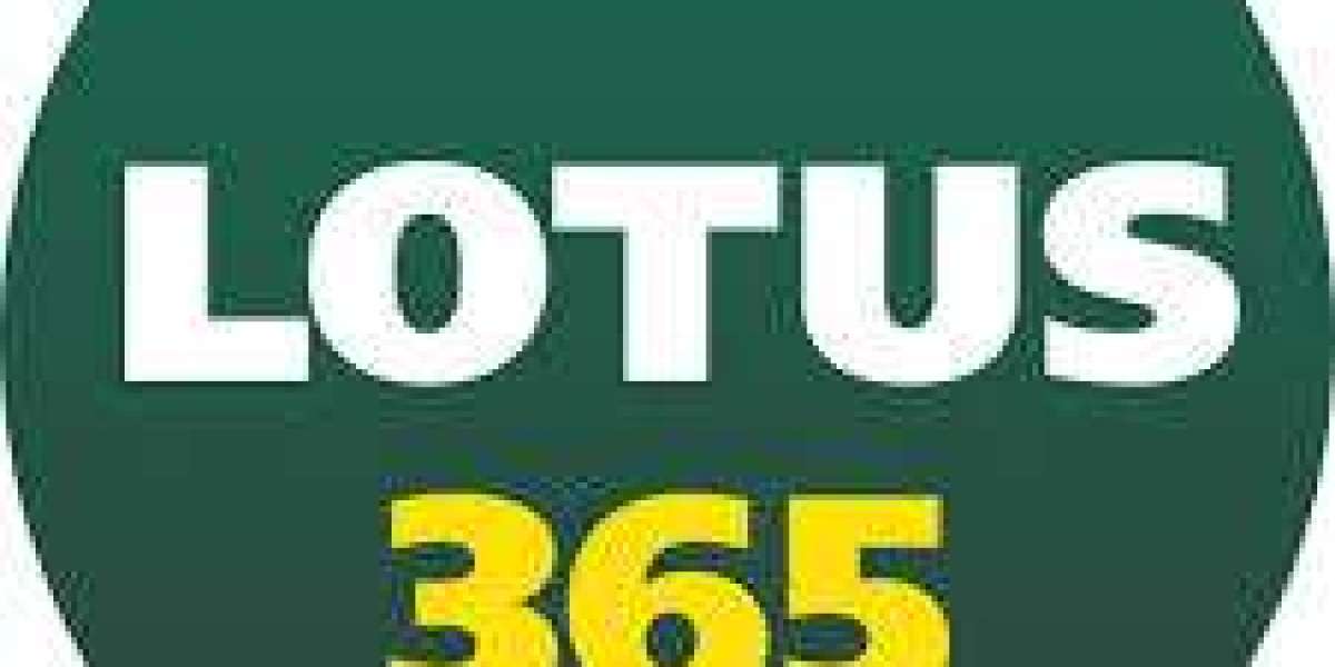 How Lotus365 Balances Speed, Simplicity, and Entertainment in One Platform