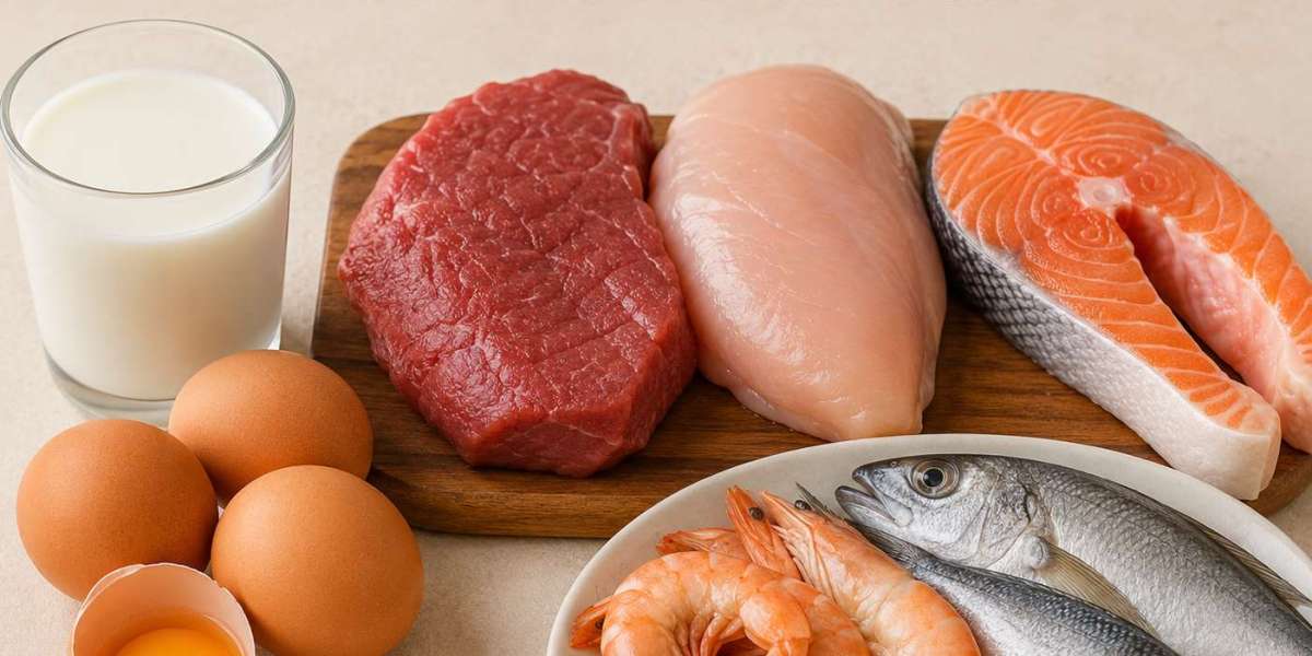 Animal Protein Market Forecast by Source, Application & Region (2026–2034)