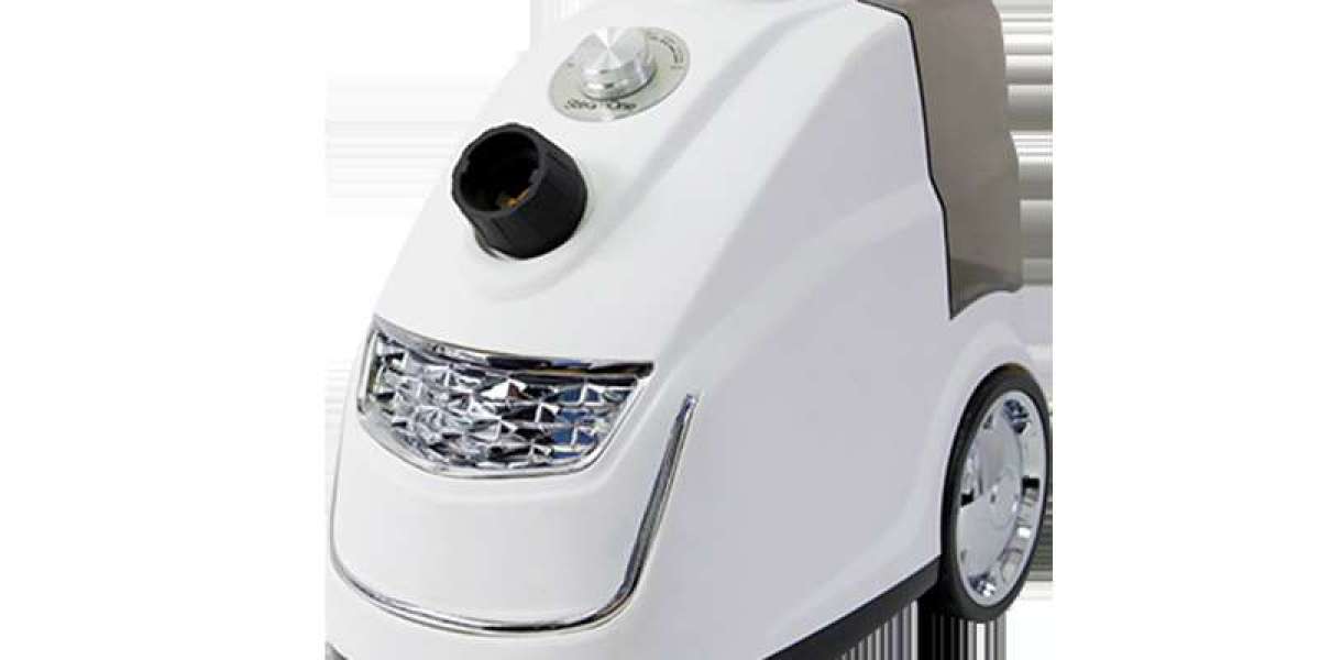 Home Upright Garment Steamer for Drapes