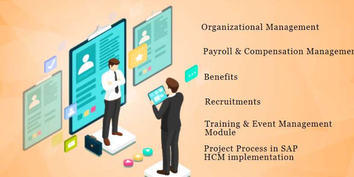 Best SAP HR HCM Training Course in Delhi, Learn Statutory & Legal Compliances, Compensation & Benefits,