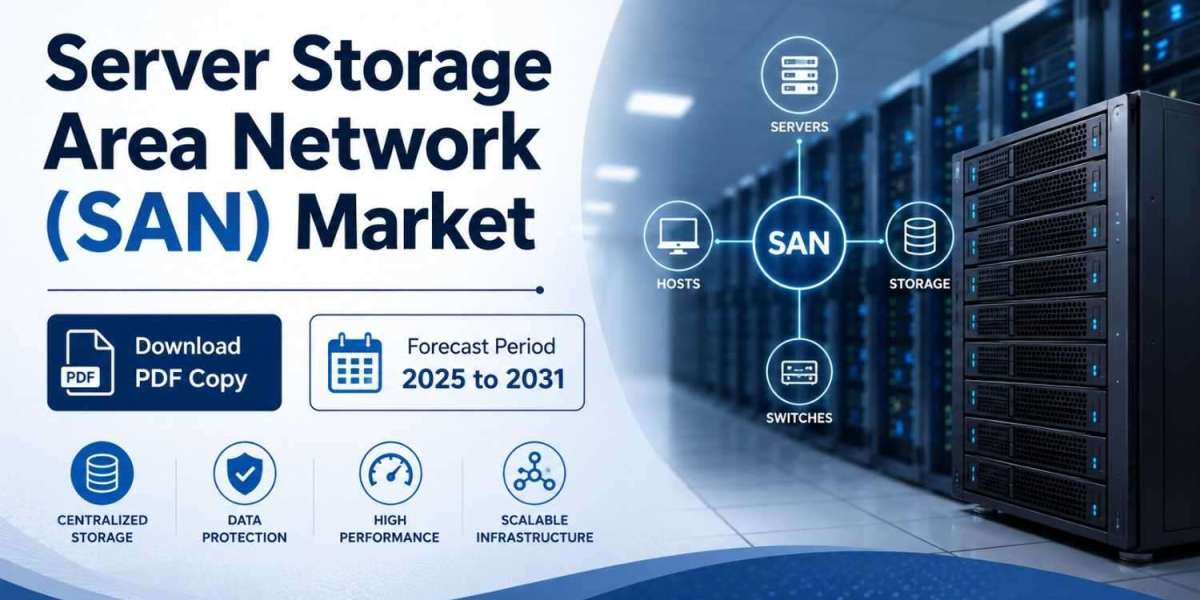 Server Storage Area Network (SAN) Market Insights 2031: Growth Strategies and Industry Developments