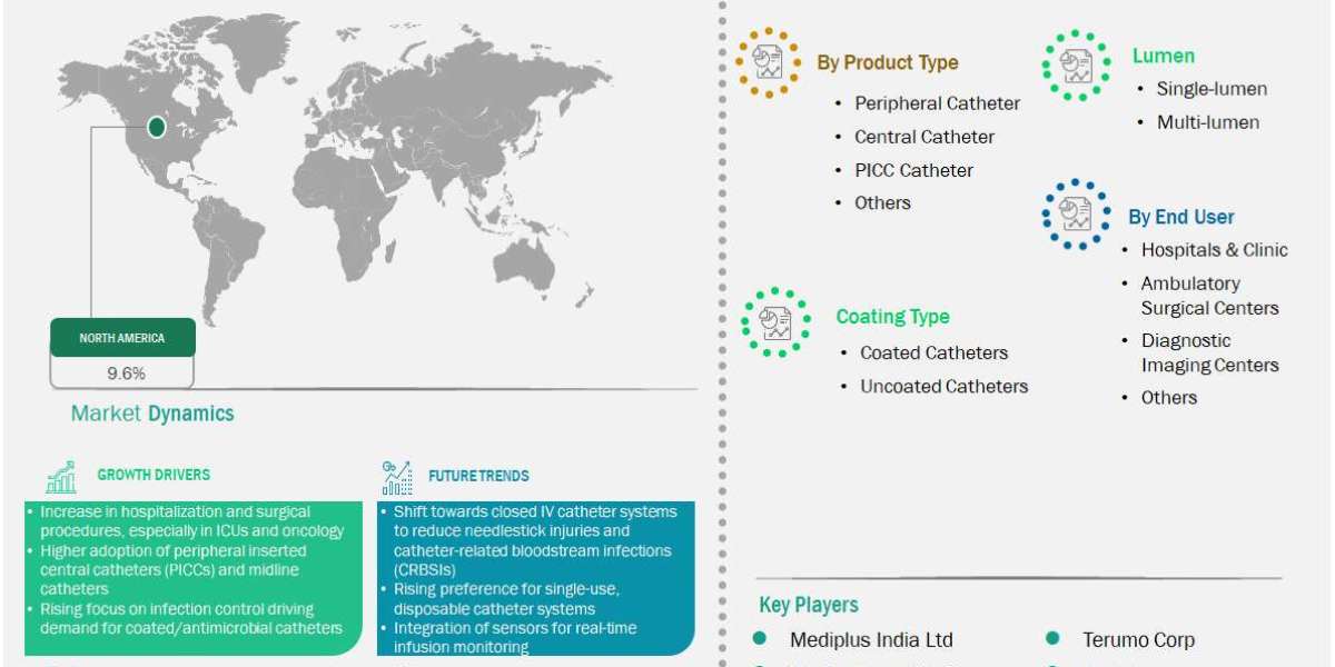 Increasing Surgical Procedures and IV Therapy Demand Boost North America Catheters Market Outlook