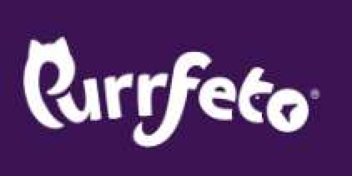 Best Cat Food Online Shopping Guide for Healthier Happy Cats