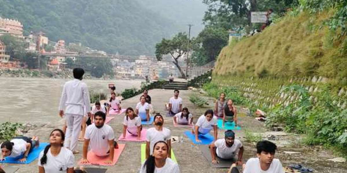 Finding the Right 500 Hour Yoga School in Rishikesh for Your Journey