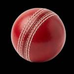 rajeshs Profile Picture