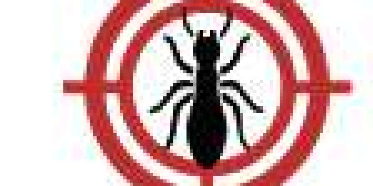 Del Valle Pest Control Reviews: What Customers Should Know Before Hiring a Service
