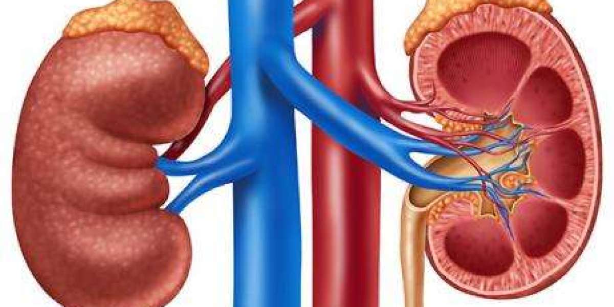 Best Urologist in Jaipur