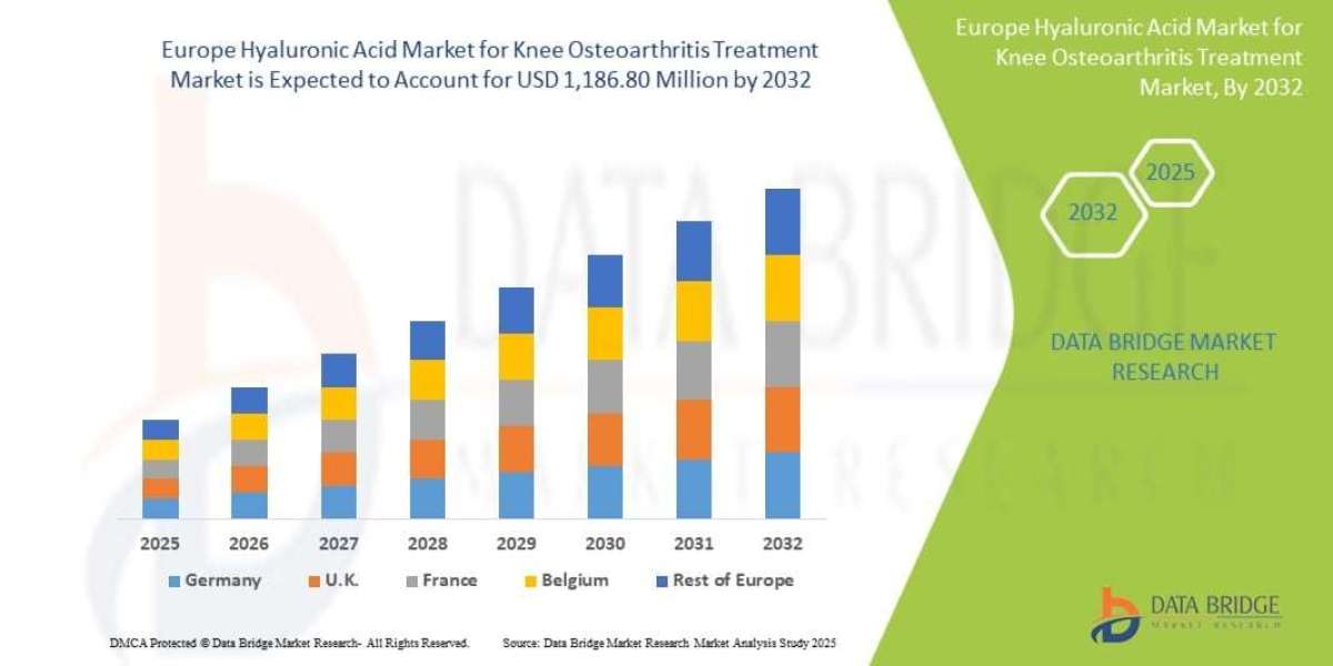 Europe Hyaluronic Acid Market Size, Share, Industry Trends, Growth Drivers and Forecast Report 2026–2033