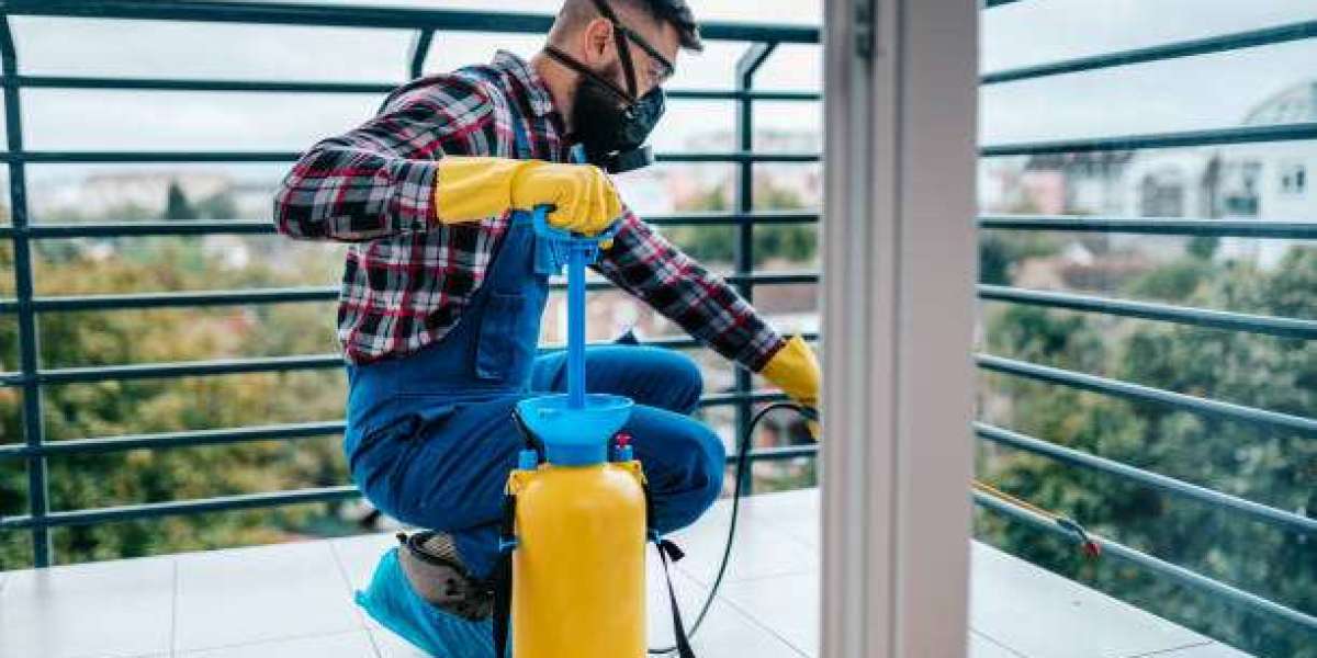 What to Expect from Reliable and Professional Termite Control Services