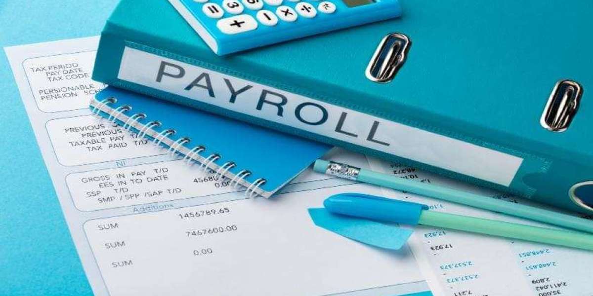 Top Benefits of Working with a Professional CIS Payroll Company