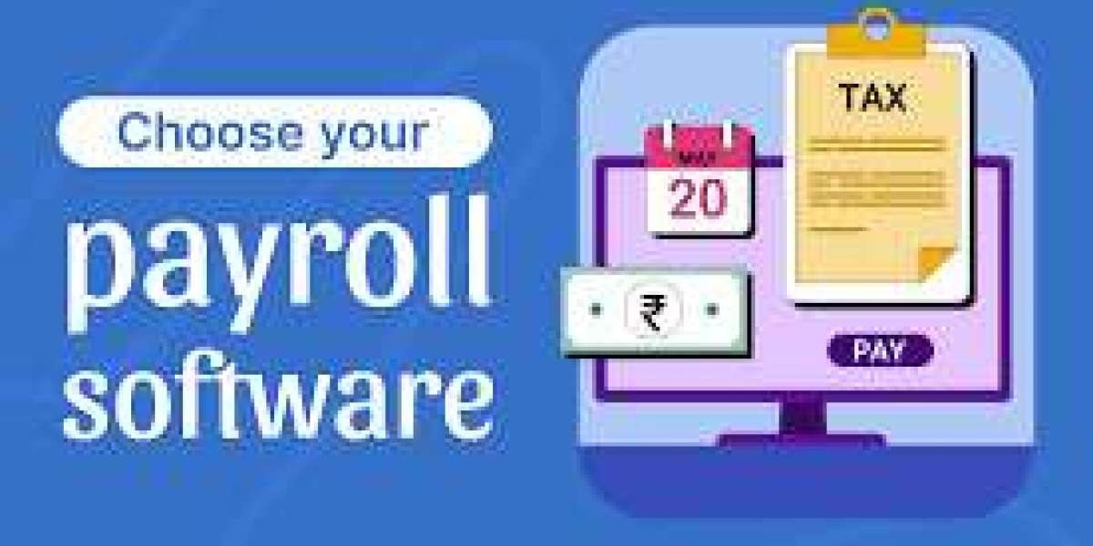 Smart Payroll Management for Growing Noida Firms