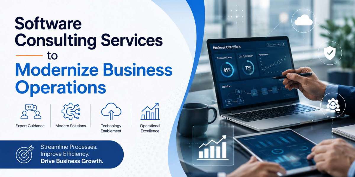 Software Consulting Services to Modernize Business Operations