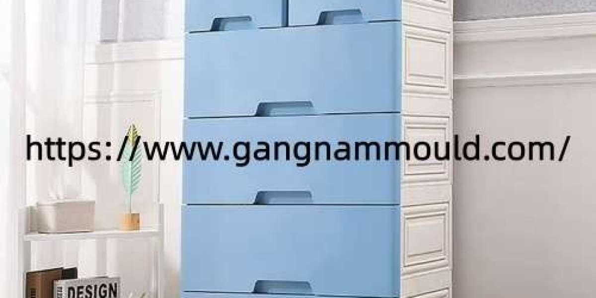 Which Factors Should Companies Consider With Gangnammould Storage Cabinet Mold