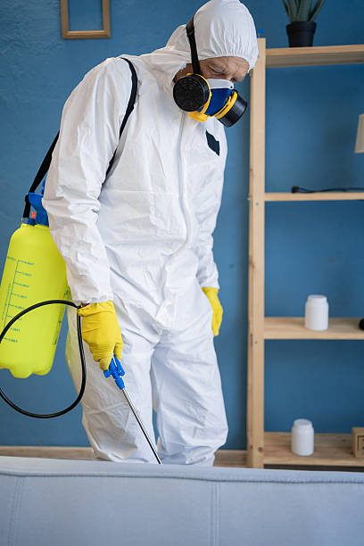 Termite Control Services​ | Simba Pest Solution