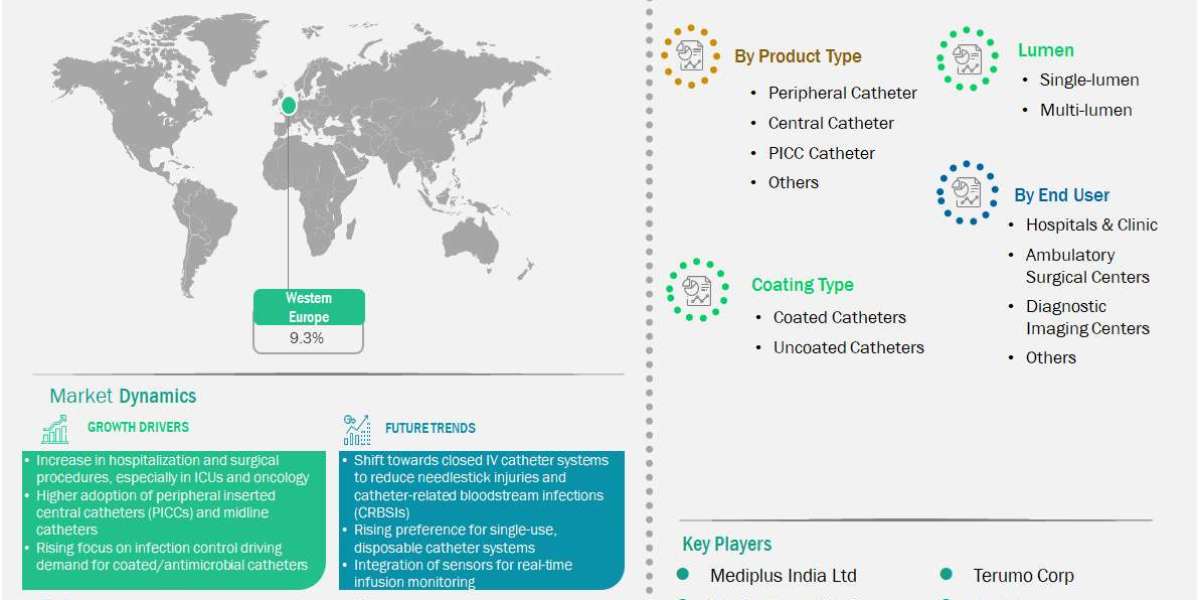 Increasing Demand for Infusion Therapy Supports Western Europe IV Catheters Market Growth Outlook