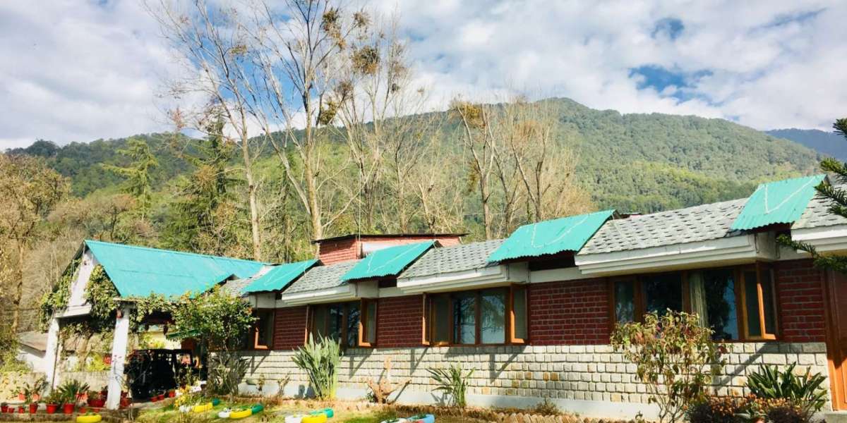 Best Resorts in Palampur for a Peaceful Mountain Escape