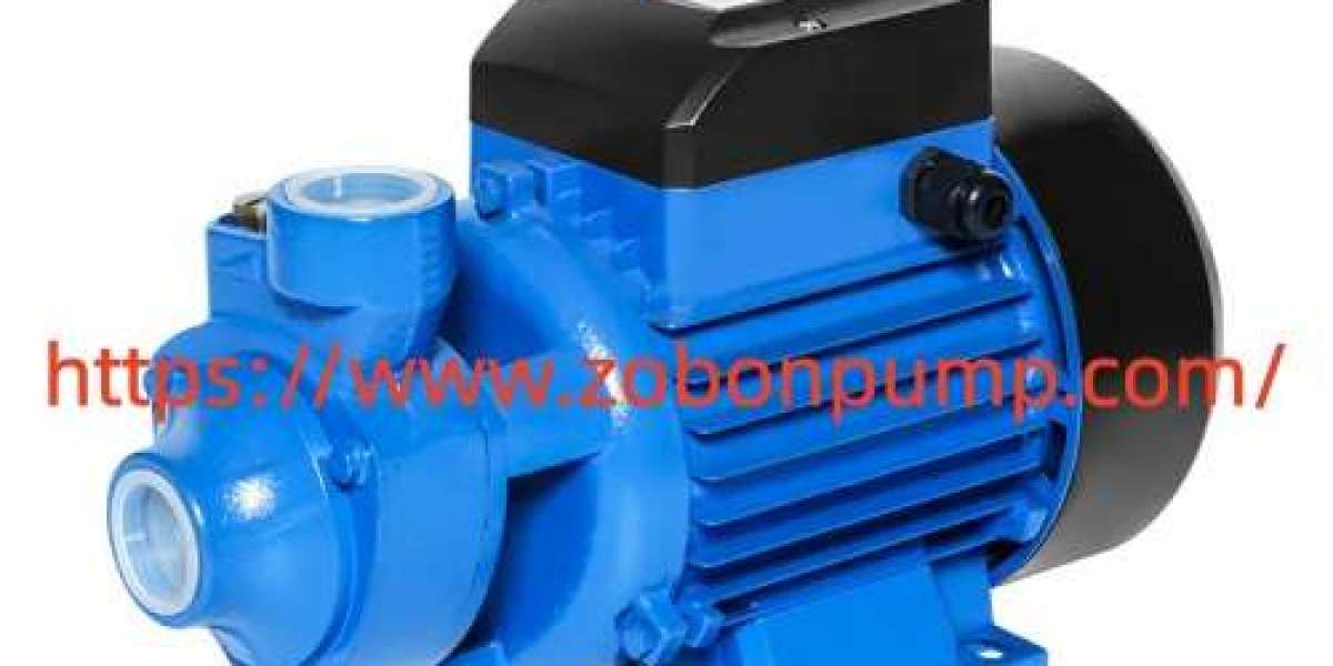 Which Zobonpump Portable Water Pump Features Should Buyers Consider Before Purchase