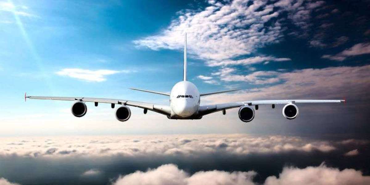 Azores Airlines JFK Terminal: Everything You Need Before Your Flight