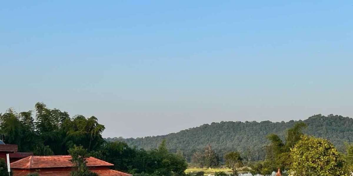 Best Resorts in Bandhavgarh for a Luxury Jungle Stay – The Tiger Valley Resort