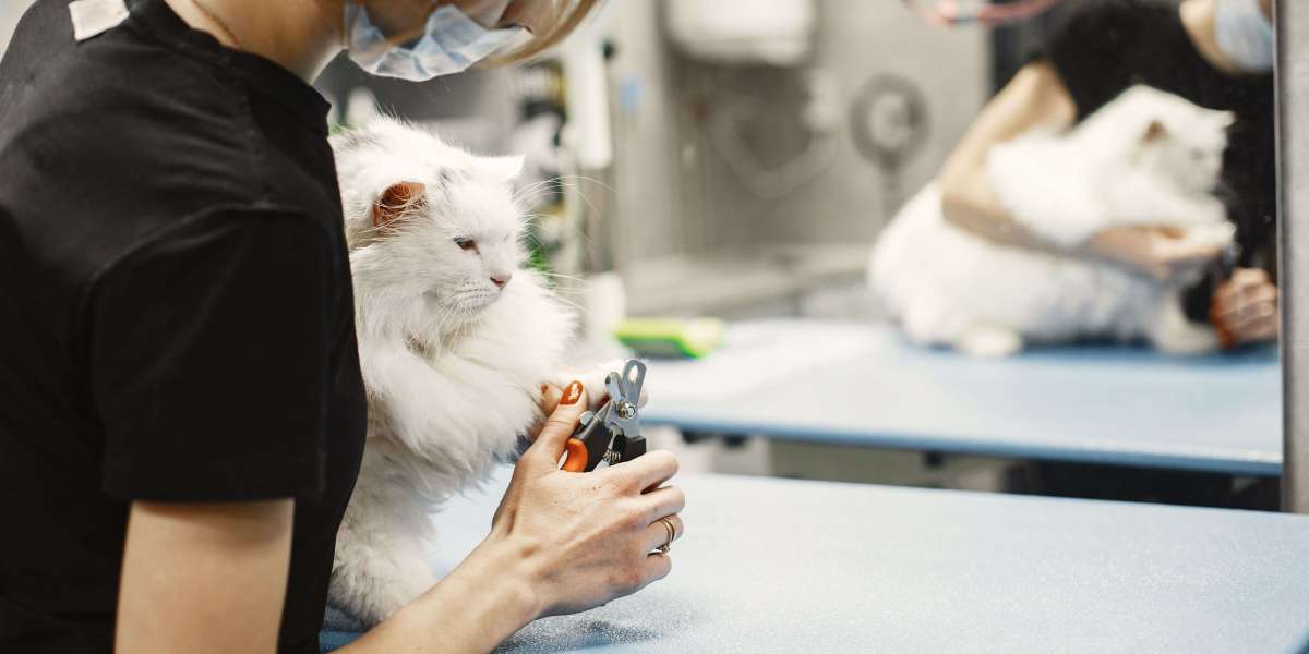 Why Multichannel Customer Support Matters for Veterinary Supply Retailers