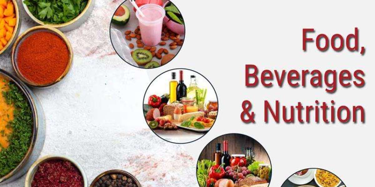 US Alcohol Starch Sugar Enzyme Market Growth Driven by Innovation
